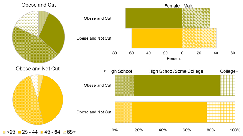 Figure 4, “Characteristics of Philadelphians by obesity and cut meal status PHMC 2008 - 2012”